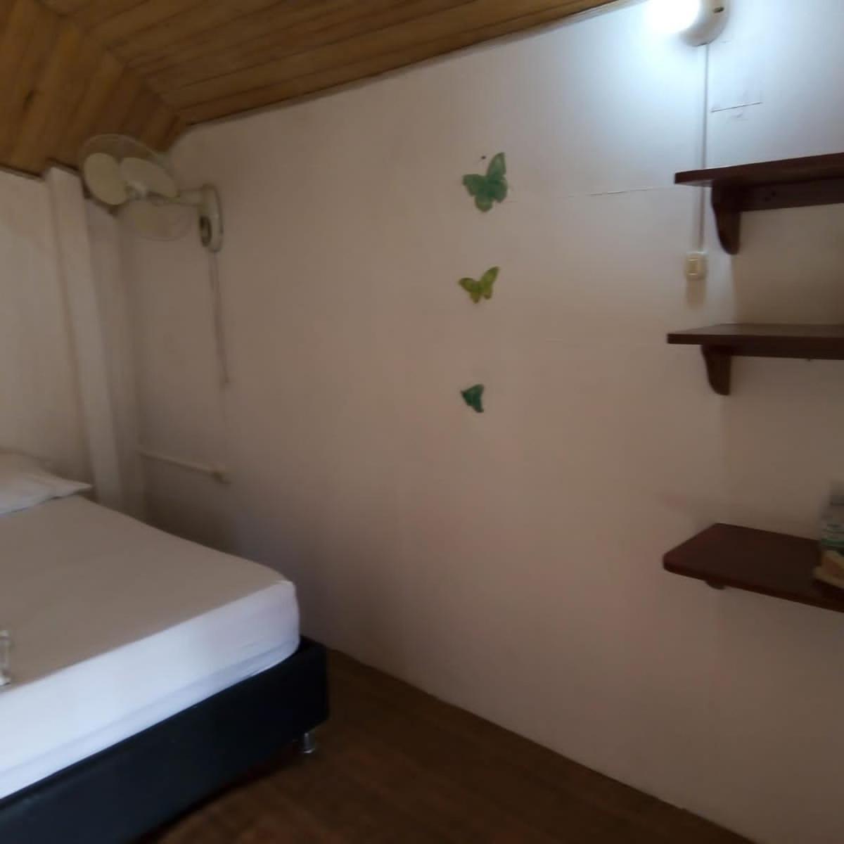 Hostal Paloma Cafe Palomino Exteriör bild